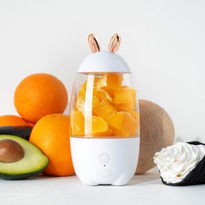 Mini Blender/Juicer